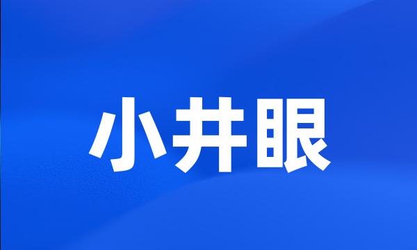 小井眼