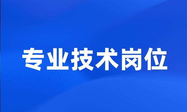 专业技术岗位