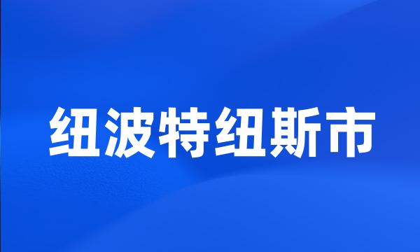 纽波特纽斯市