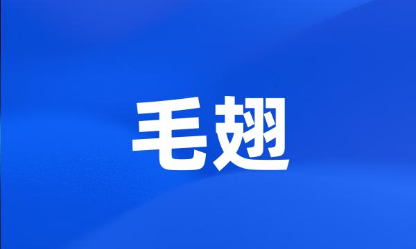 毛翅