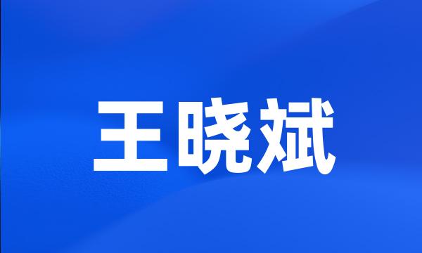 王晓斌