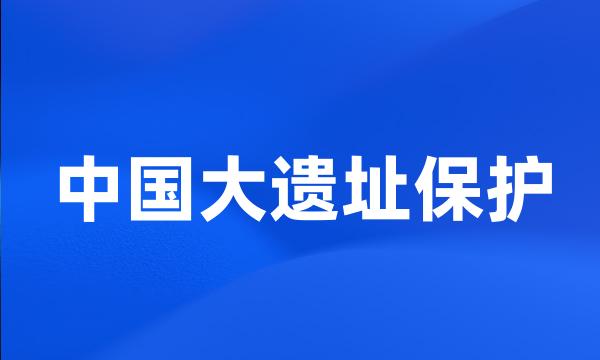 中国大遗址保护