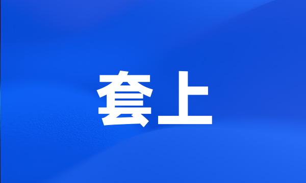 套上