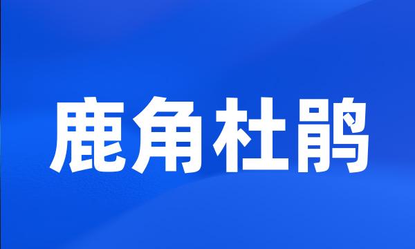 鹿角杜鹃