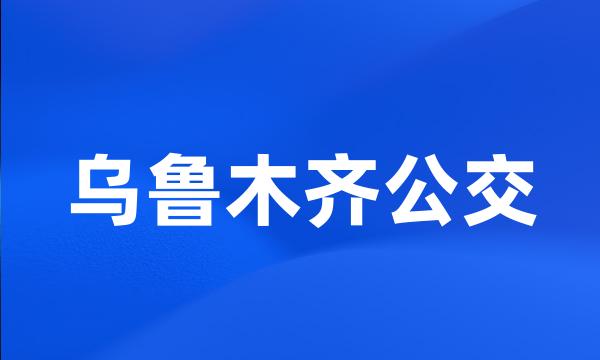 乌鲁木齐公交