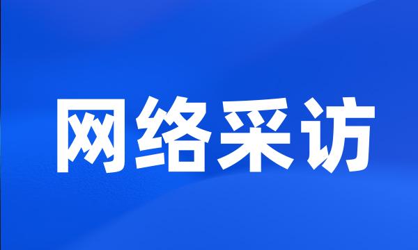 网络采访