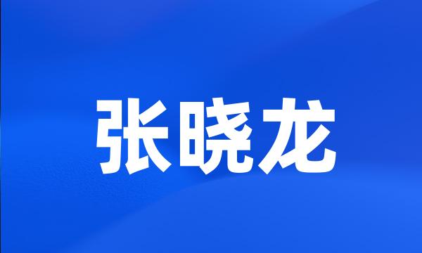 张晓龙