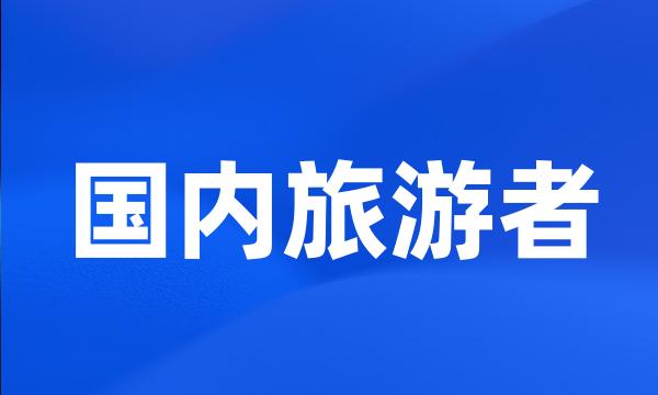 国内旅游者