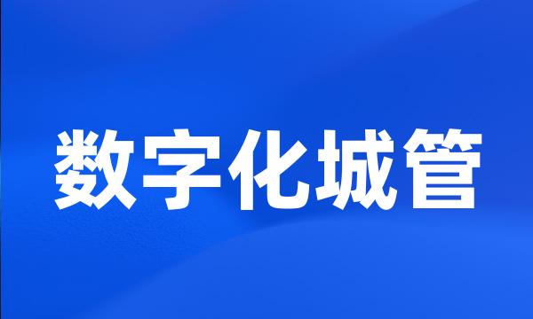 数字化城管