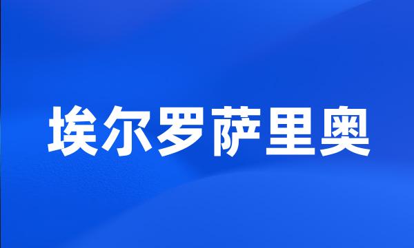 埃尔罗萨里奥