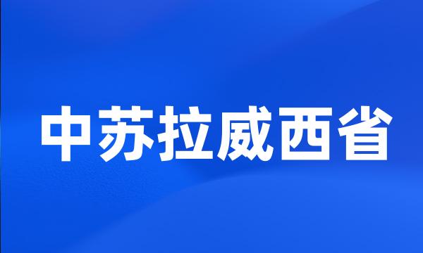 中苏拉威西省