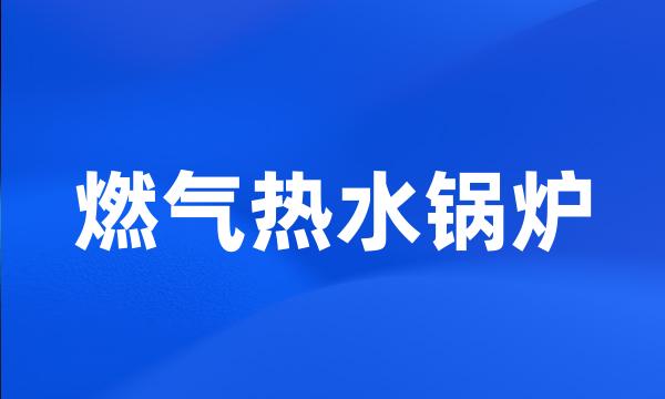 燃气热水锅炉