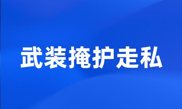 武装掩护走私