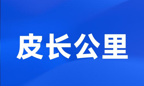 皮长公里