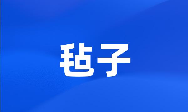 毡子