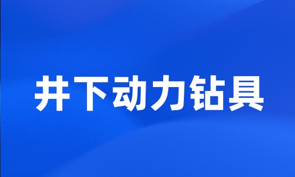 井下动力钻具