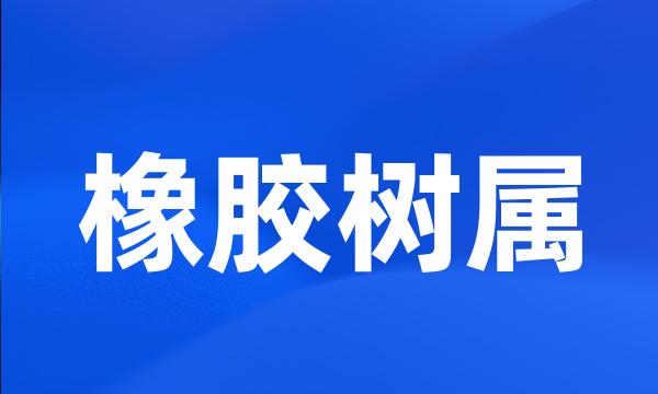 橡胶树属