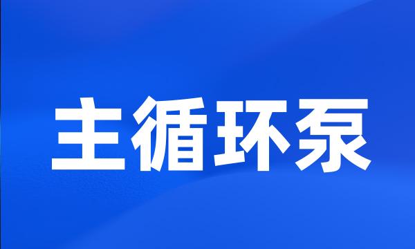 主循环泵