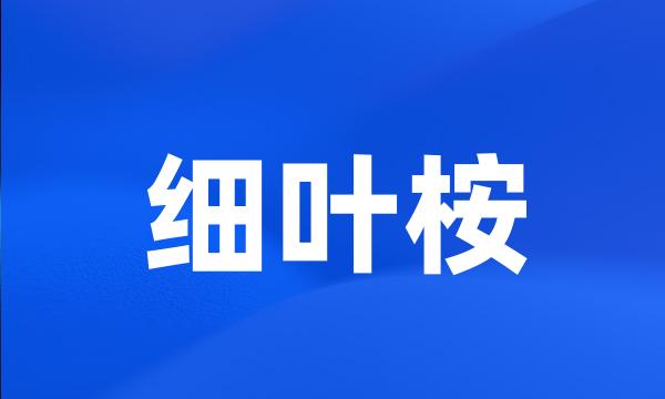 细叶桉