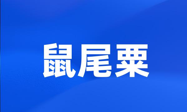 鼠尾粟