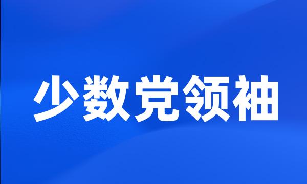 少数党领袖