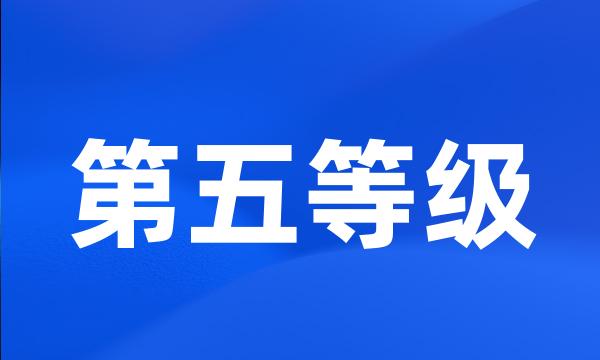 第五等级