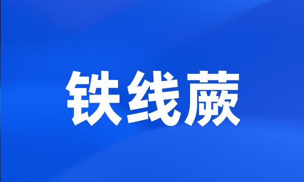 铁线蕨