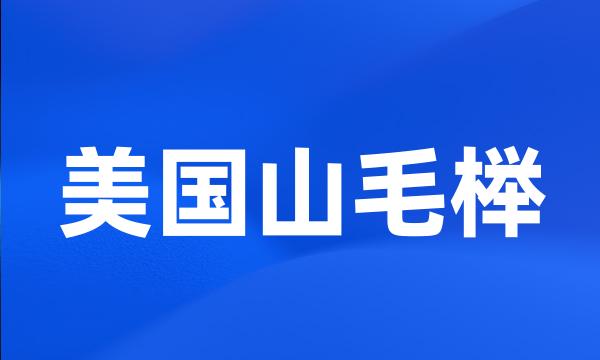 美国山毛榉