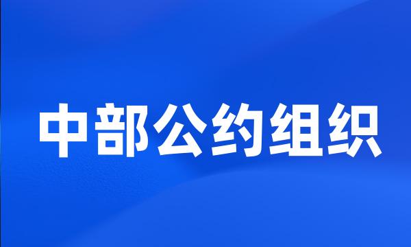 中部公约组织