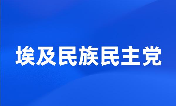 埃及民族民主党