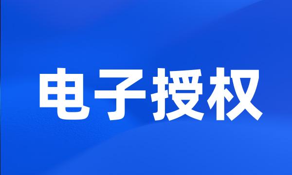 电子授权