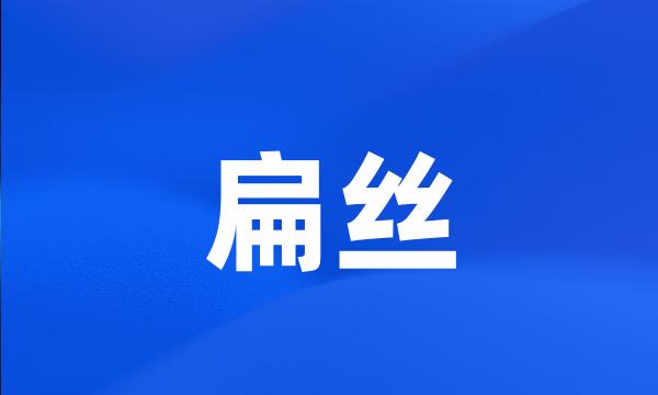 扁丝