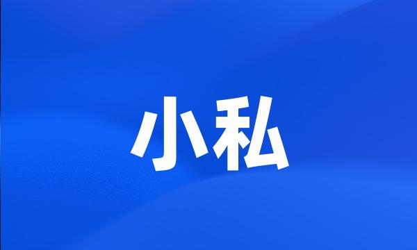 小私