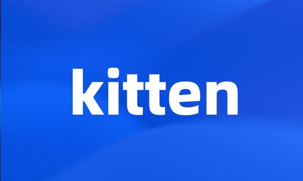 kitten