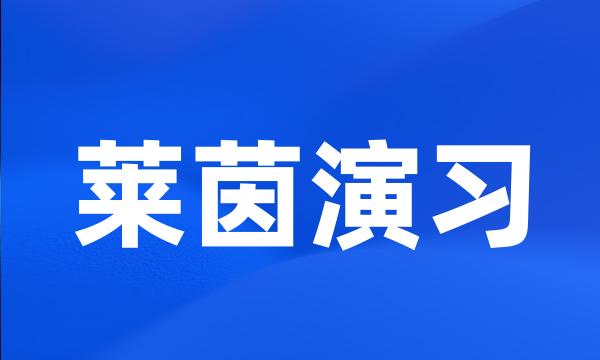 莱茵演习