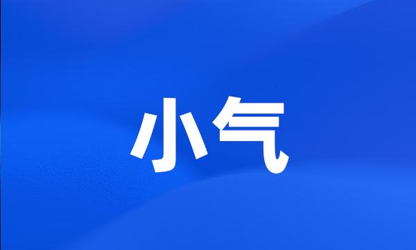 小气