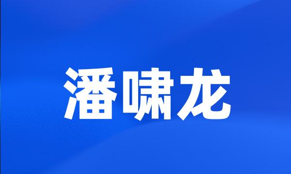 潘啸龙