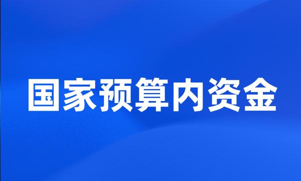 国家预算内资金