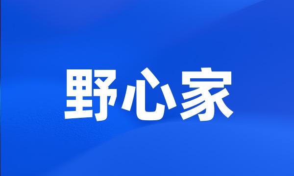 野心家