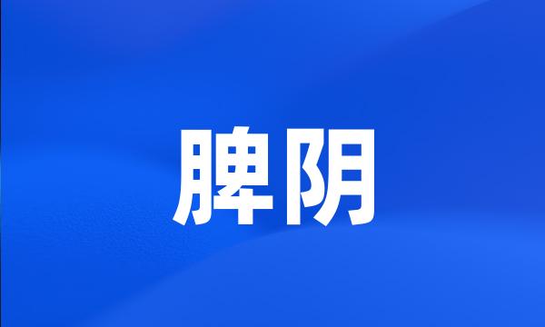 脾阴