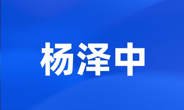 杨泽中