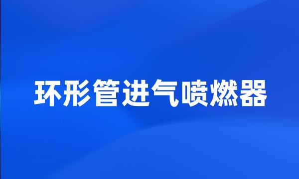 环形管进气喷燃器