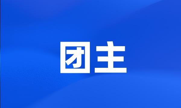 团主