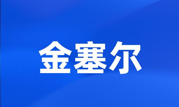 金塞尔