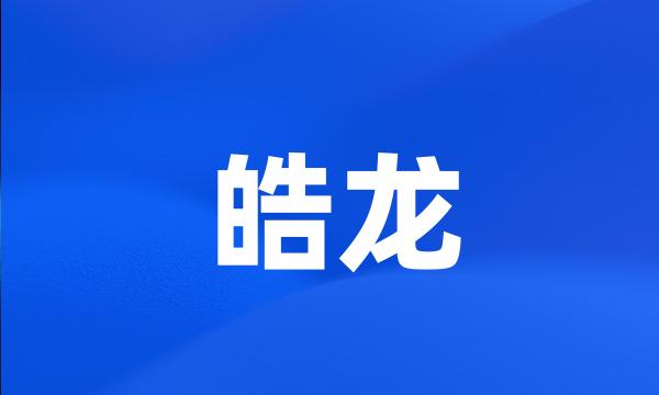 皓龙