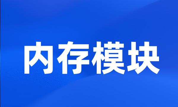 内存模块