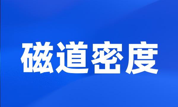 磁道密度