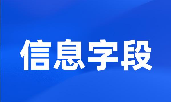 信息字段