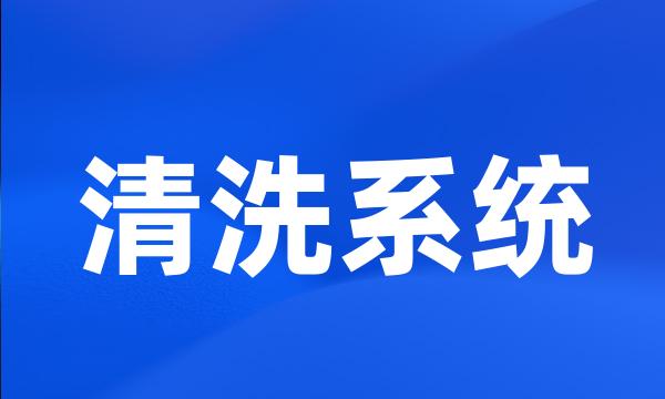 清洗系统