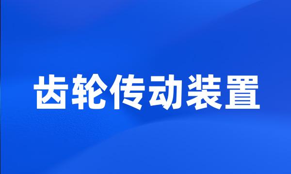 齿轮传动装置